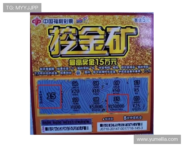 开云彩票222753 com账号登录指南，确保用户安全顺畅访问所有彩票服务