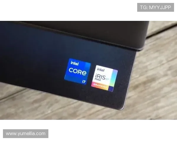 登录开云官方网站入口:畅享全面的服务与丰富的产品选择 登录开云官方网站入口:畅享全面的服务与丰富的产品选择