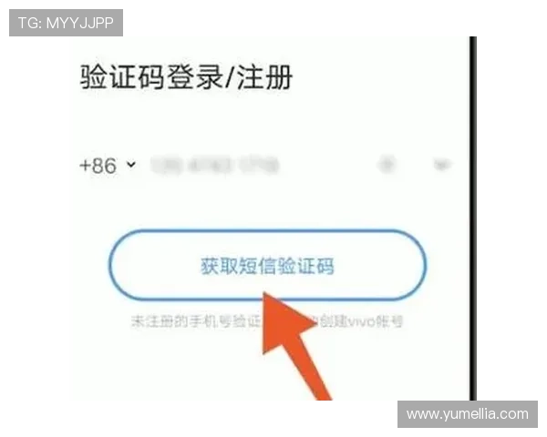 开云登陆官网安全登录方法与账号保护措施全面解析保障用户权益